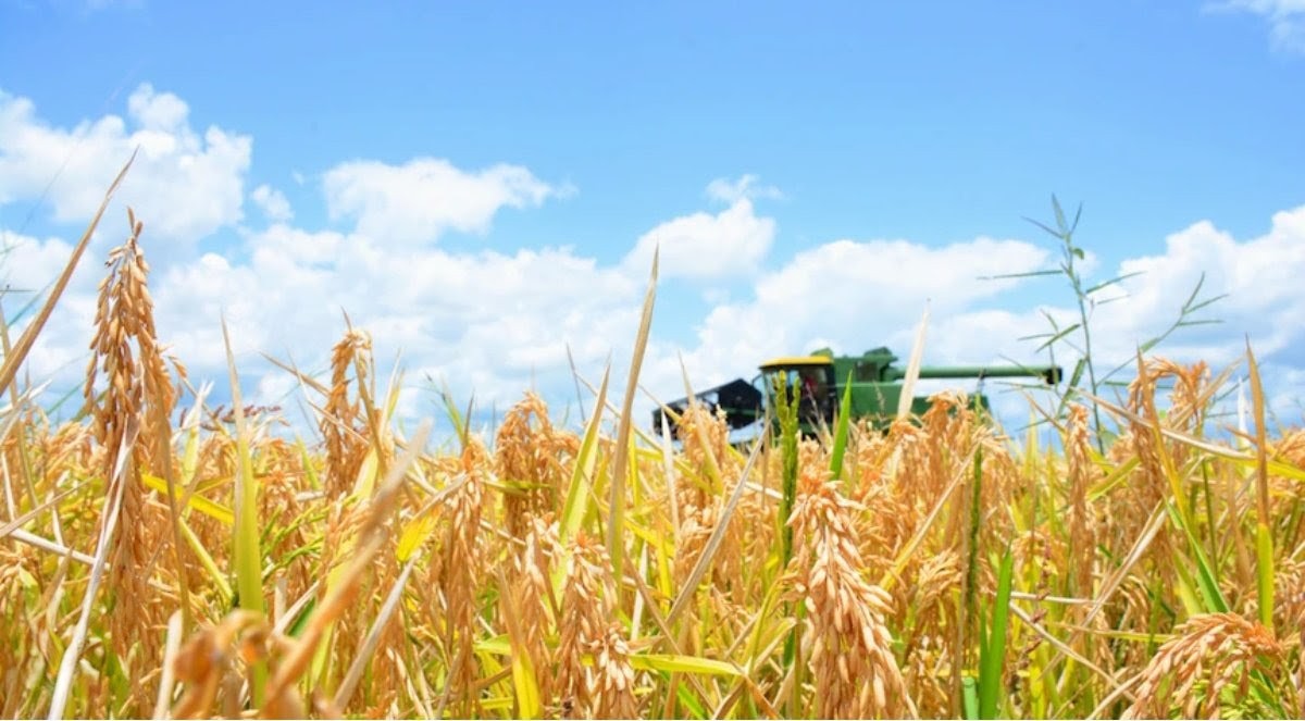 Peter Clack tweet media