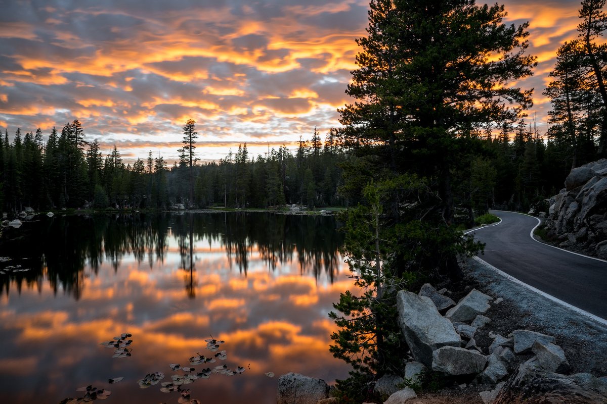 cahighsierra's tweet image. Where can you find late season #wildflowers, #hiking, #waterfalls, and go #camping around the #LakeTahoe area? #Eldorado National Forest is the place to be! ☀️  Sounds like the perfect #summertrip to take this year.

🌲  👉  californiahighsierra.com/trips/national…