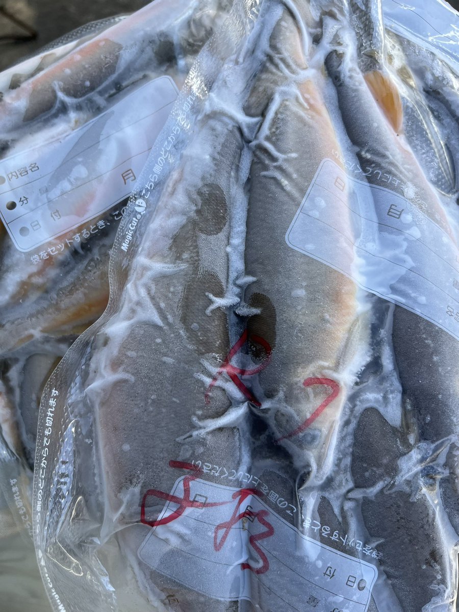 やんすけ tweet media