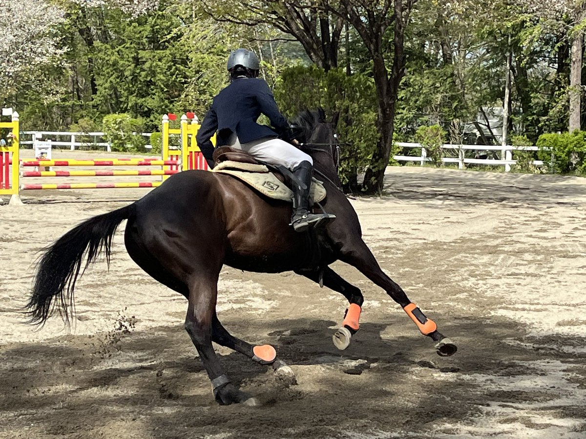 宇都宮大学馬術部 tweet media