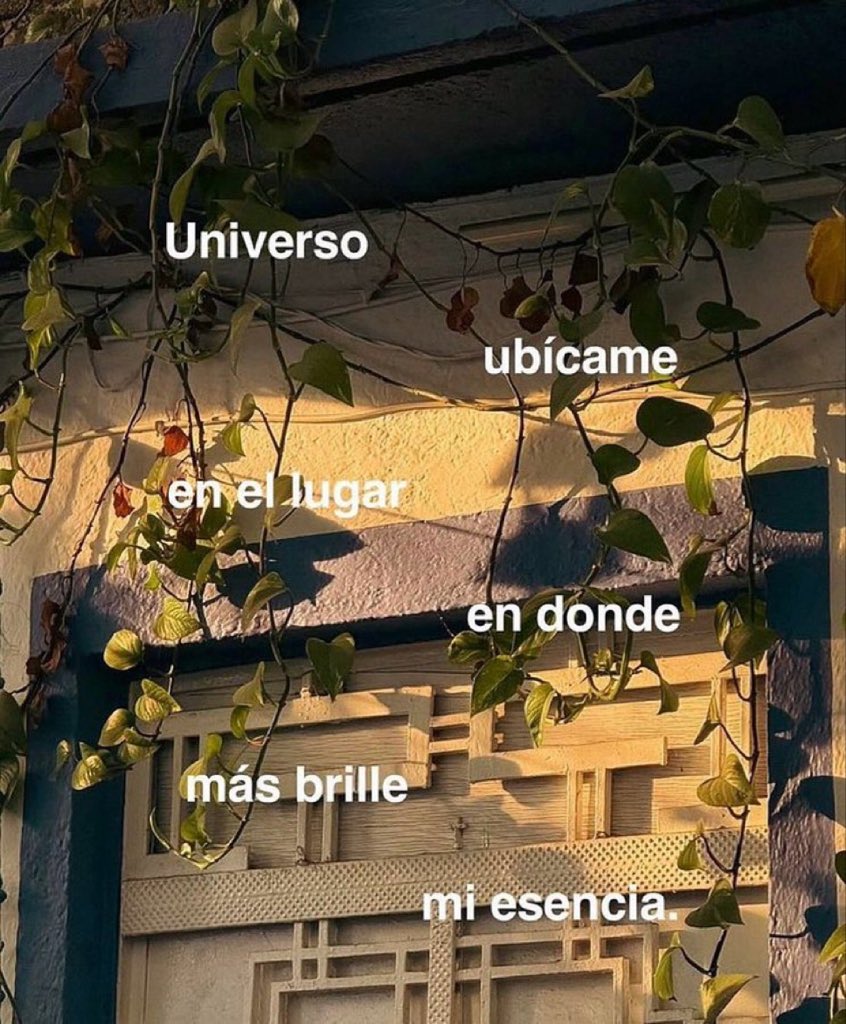 🌙 mini textos tweet media