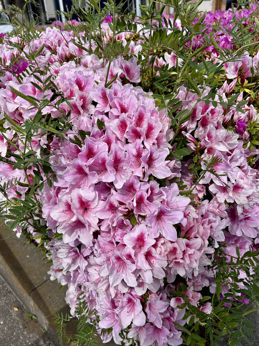 SEXX GEORGE tweet media