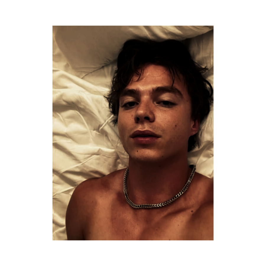 austin tweet media