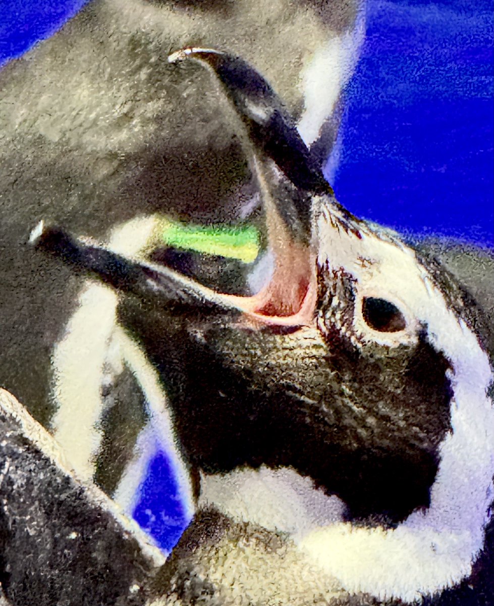 ゆりみな tweet media