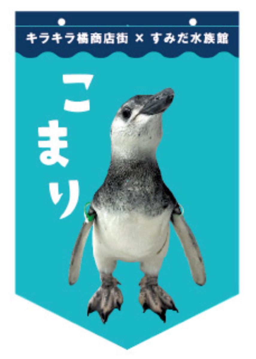 ゆりみな tweet media