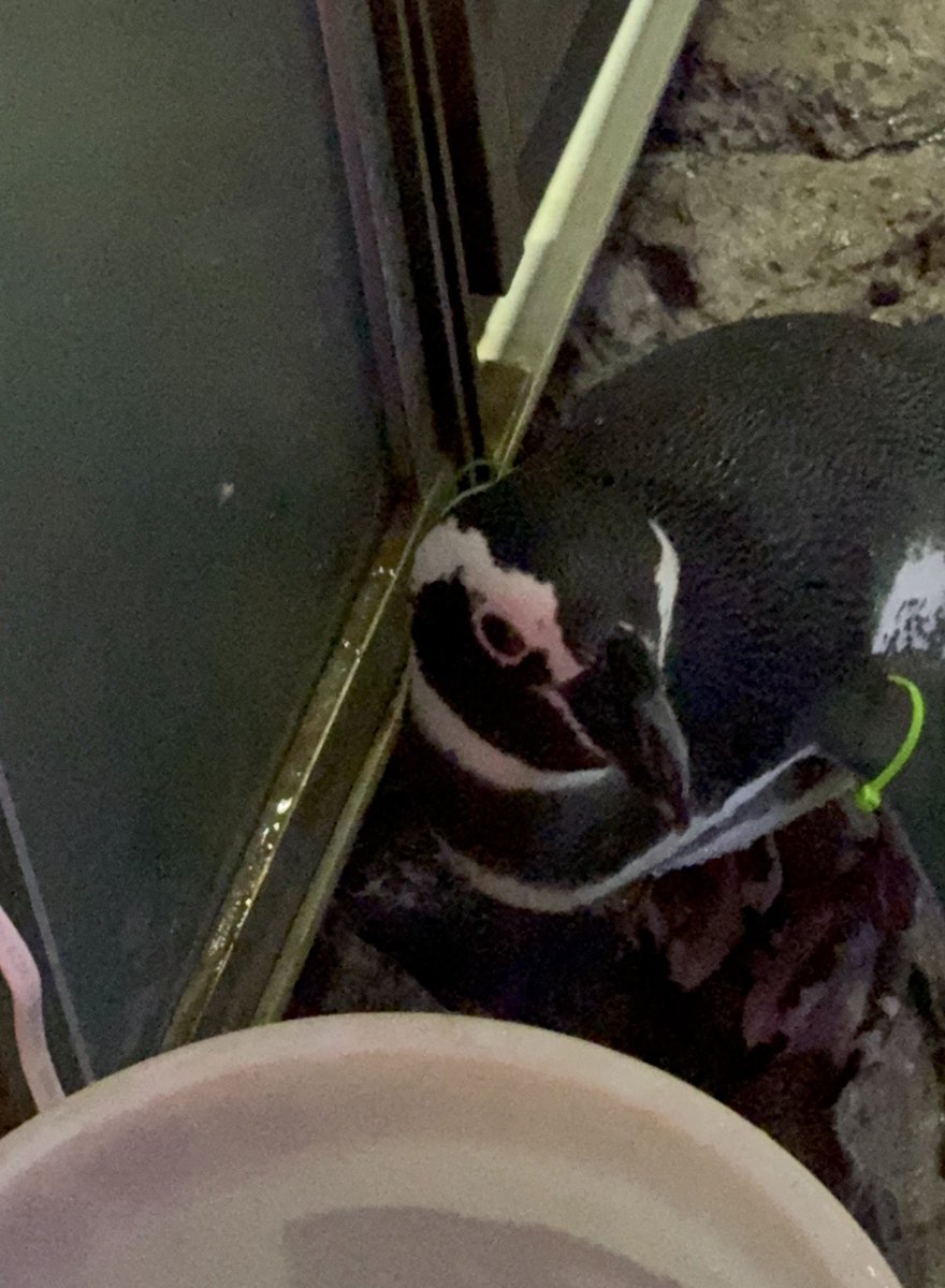 ゆりみな tweet media