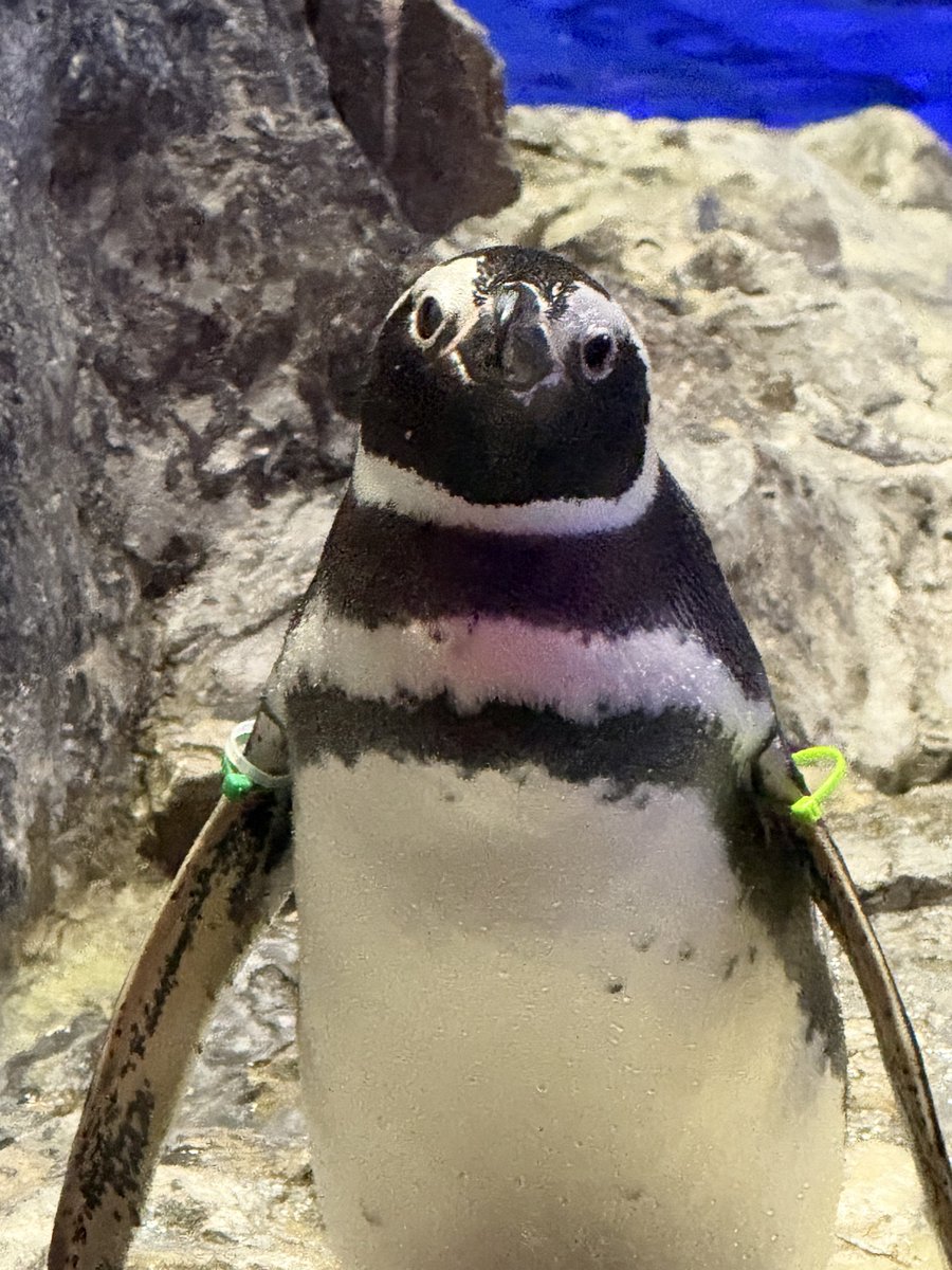 ゆりみな tweet media