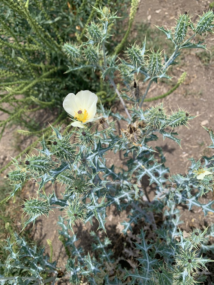 jaimesoler.bsky.social tweet media