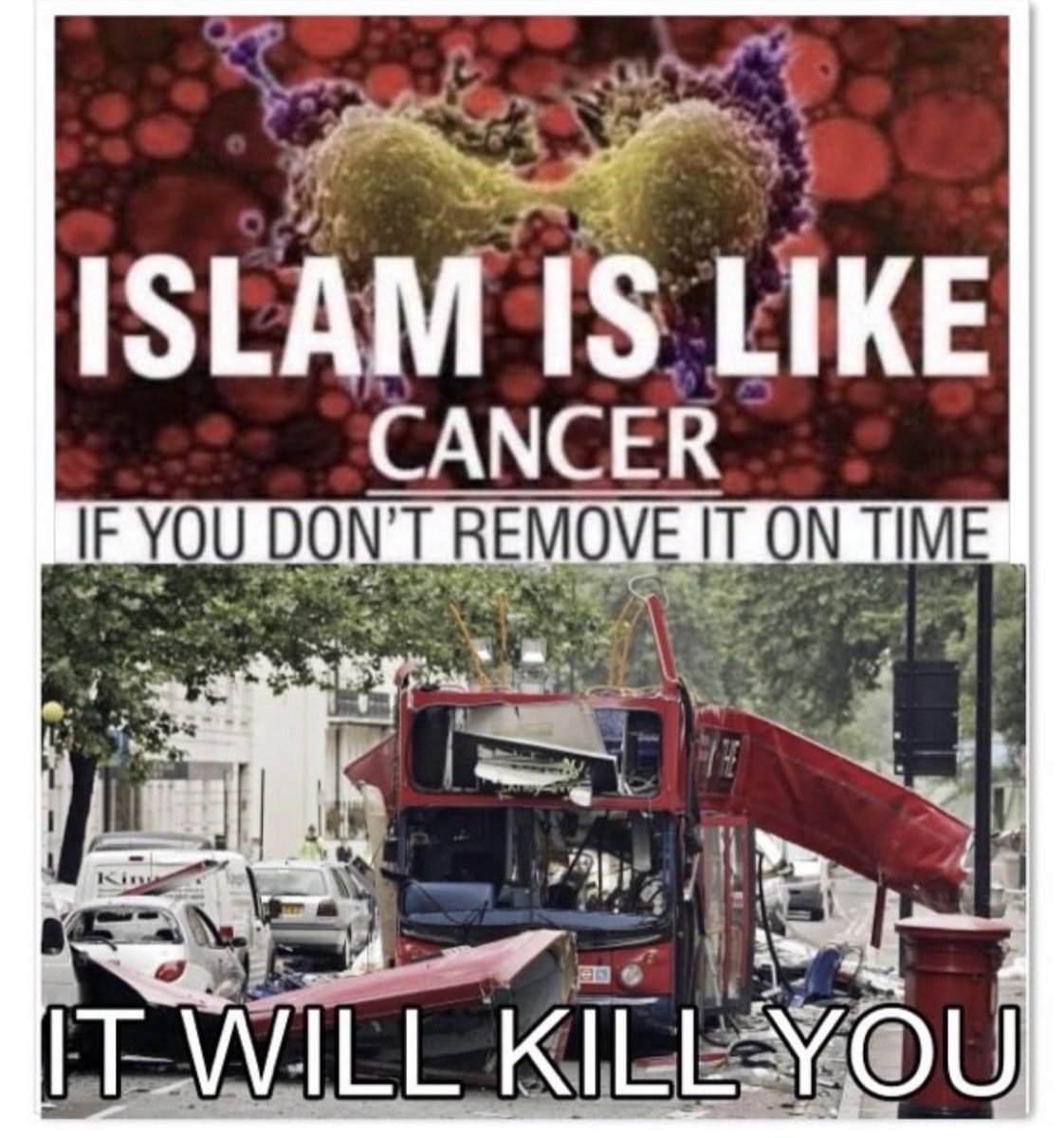 Meatballs n Paradise tweet media