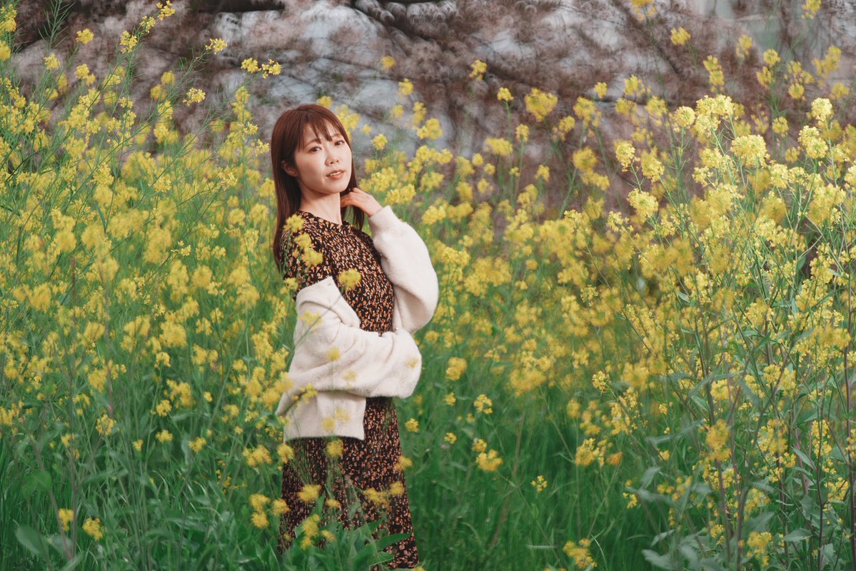 イルコ🐬光の魔術師 / フォトグラファー tweet media