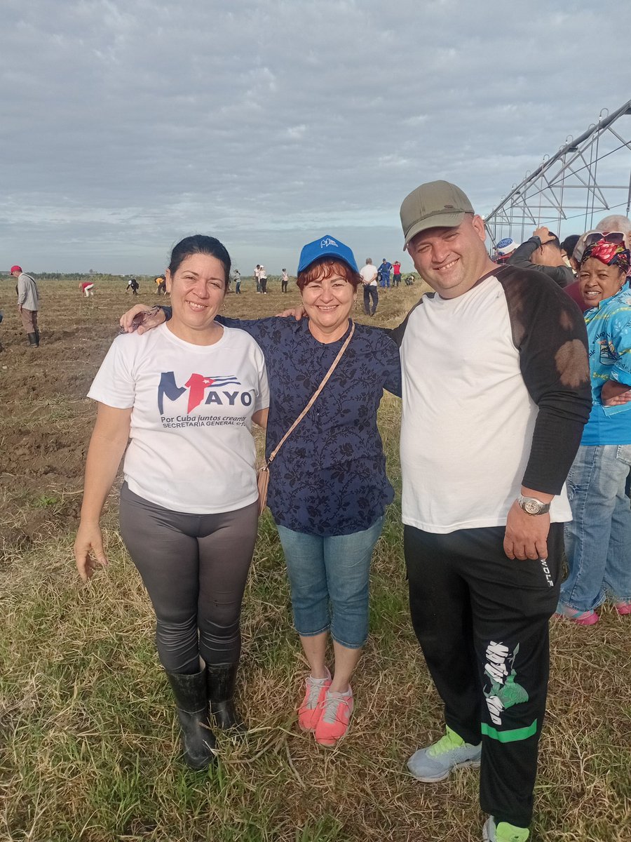 #VillaClaraConTodos  En jornada de trabajo voluntario en áreas productivas de la Empresa Agropecuaria Valle del Yabú, de Santa Clara, comenzó hoy en la provincia el movimiento popular #MiFirmaPorLaPatria