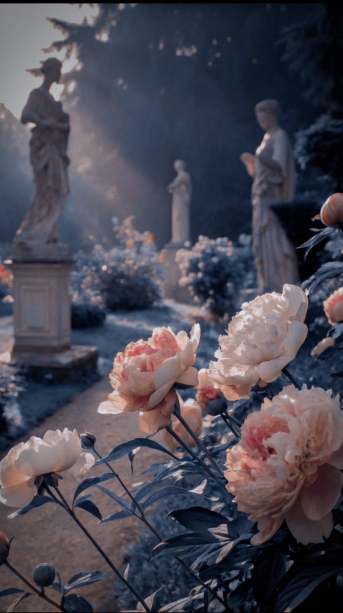 ᅠ ᅠ𓆩𖤐𓆪 ᅠ ᅠ ᅠ ᅠ ᅠ ᅠ𝑽 𝑨 𝑳 𝑨 𝑲 || PARODY tweet media