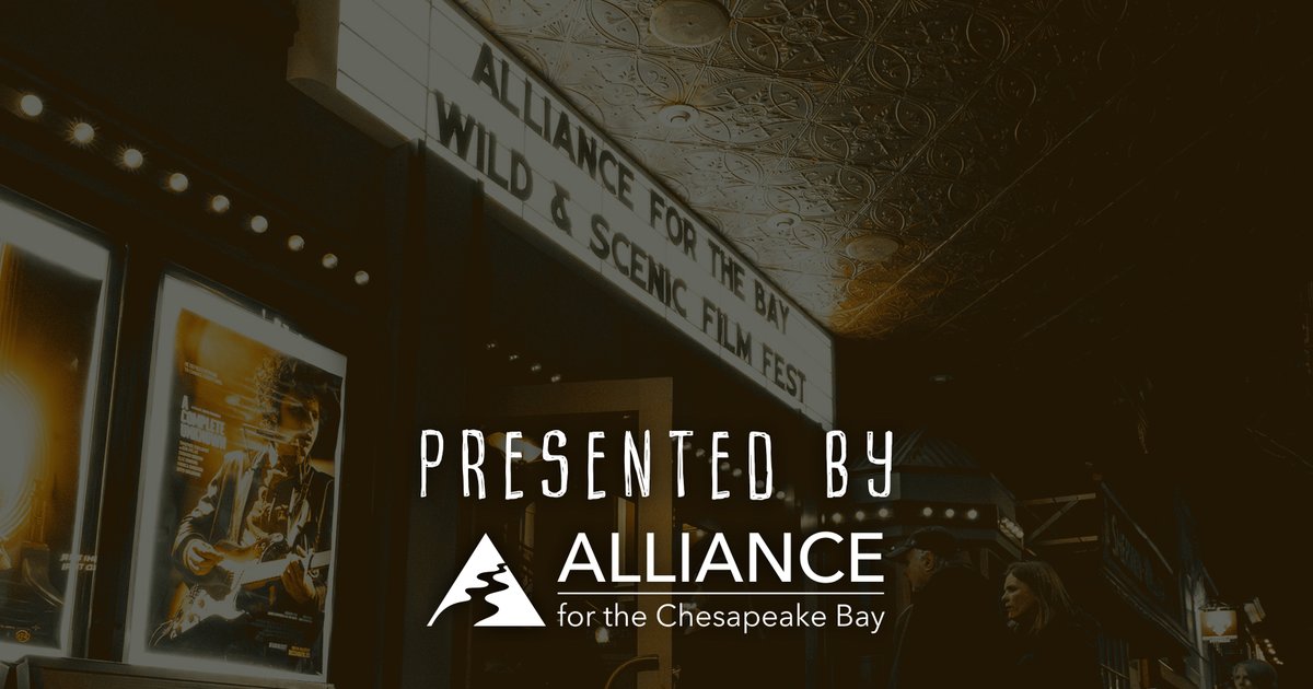 Alliance For The Bay tweet media