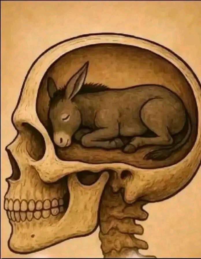 Zahi-El-Mahboub tweet media