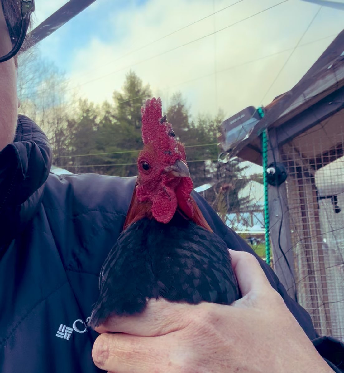 Cassie Cynical🐩 tweet media