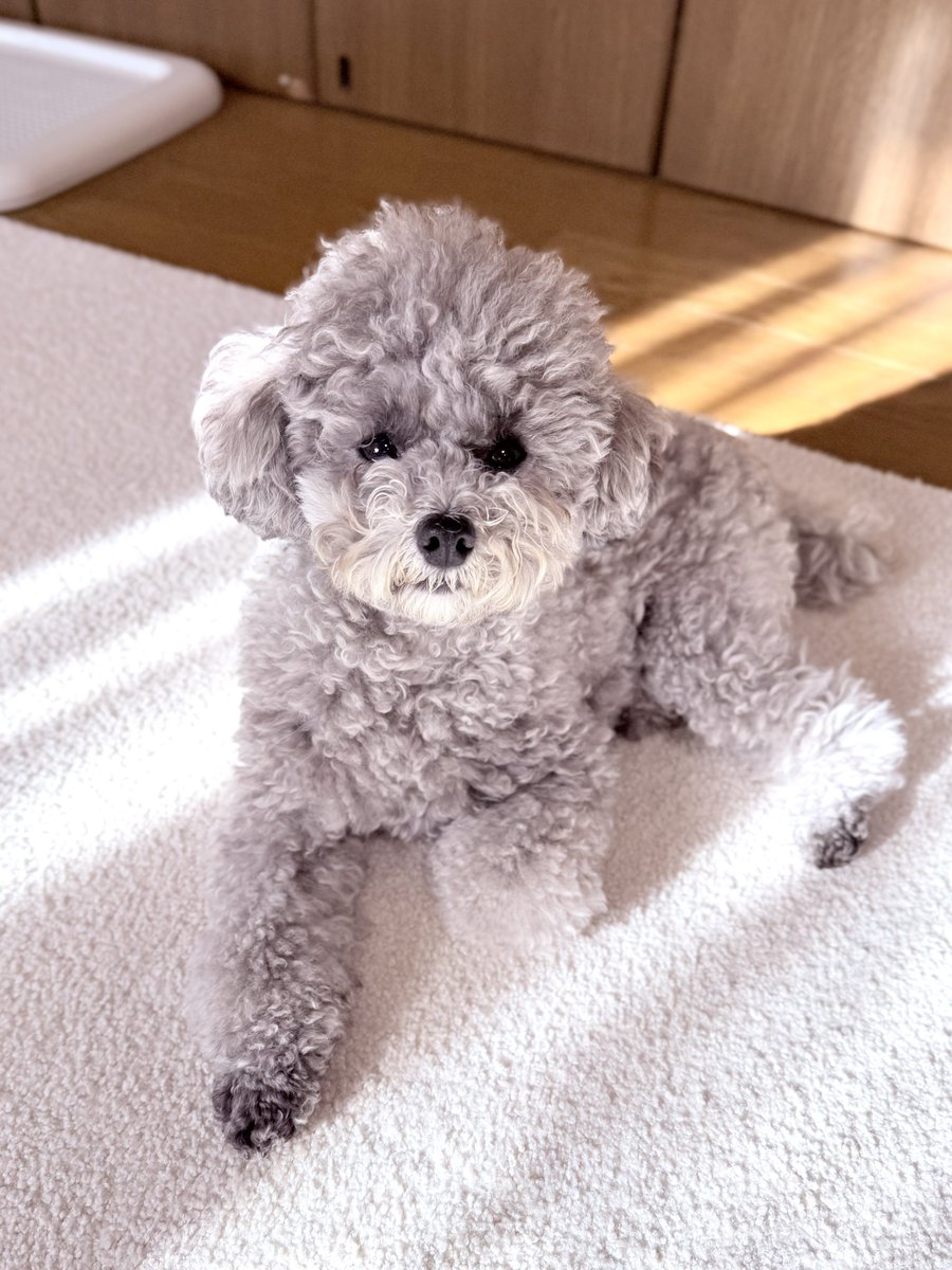 エマです！ tweet media