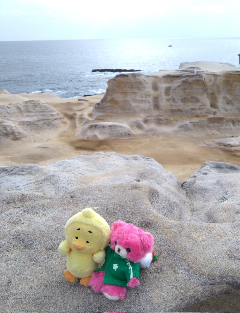 りつ🌻🦹รุ่งอรุณ暁 tweet media