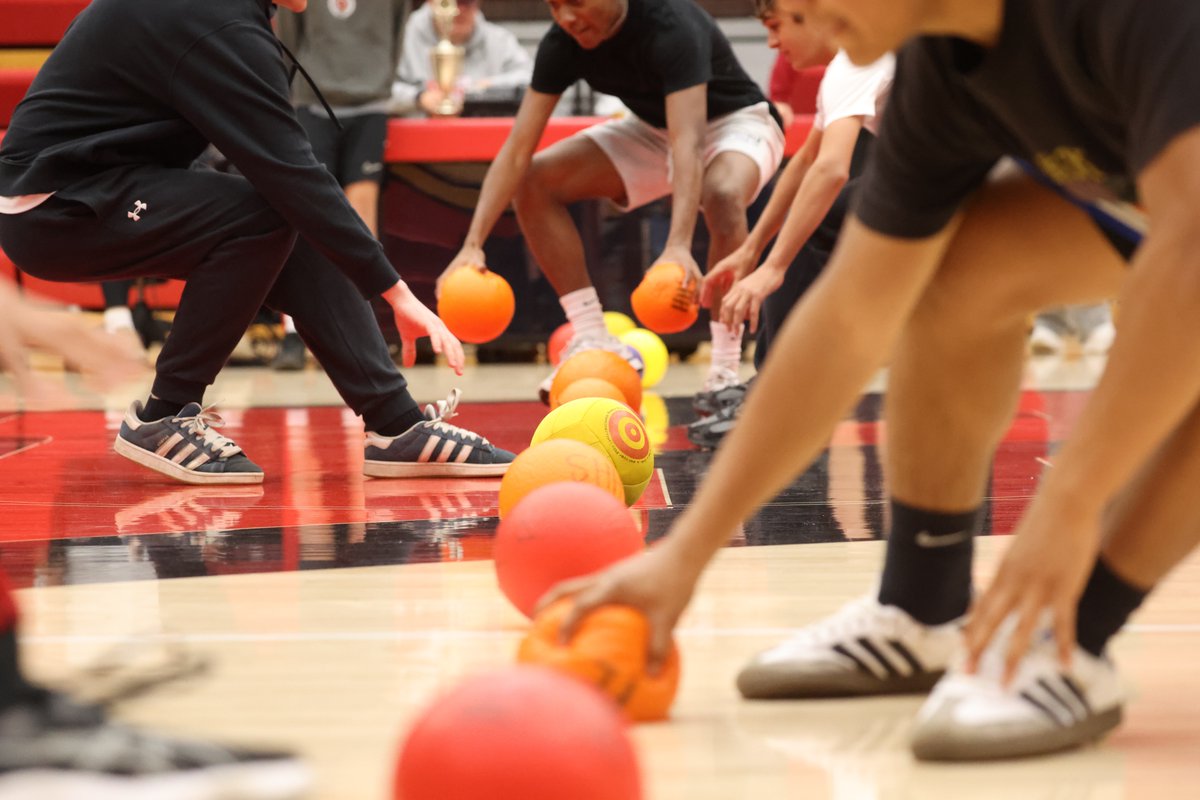 Holland Public Schools tweet media