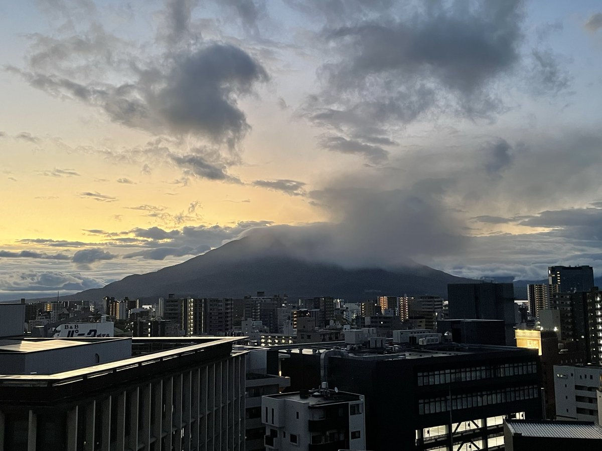 天真爛漫🌻🐸 tweet media