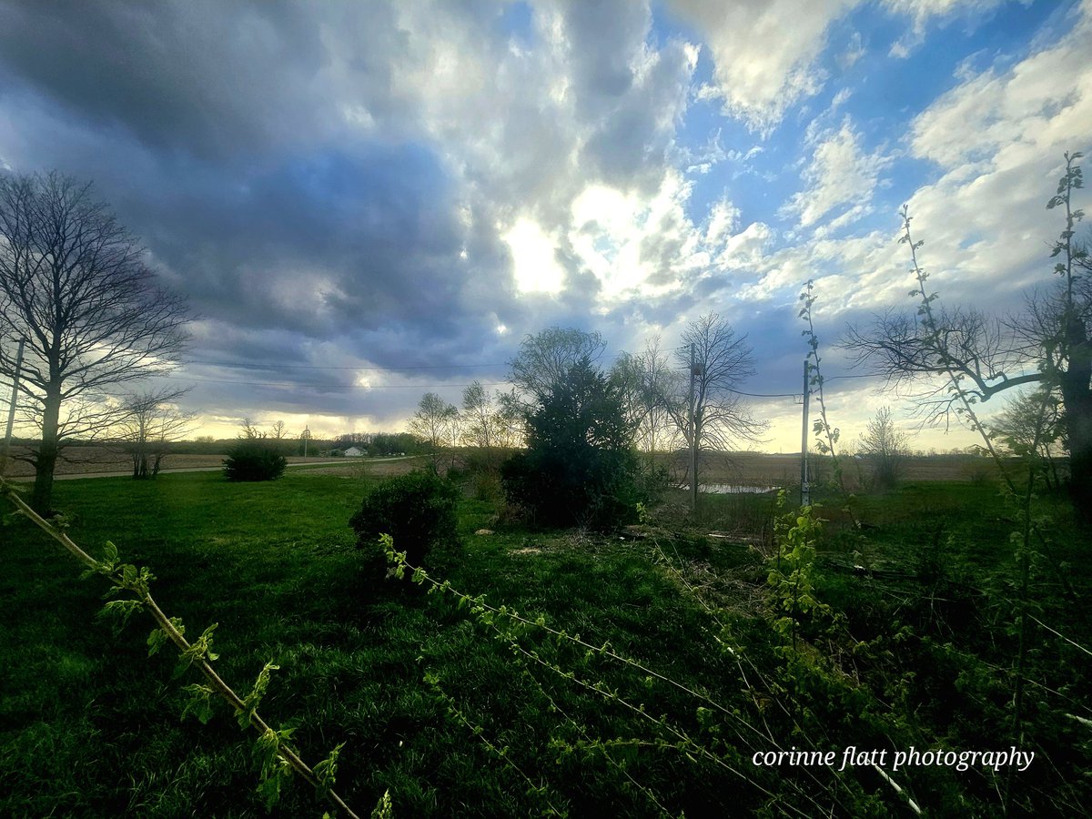 Corinne Colby tweet media