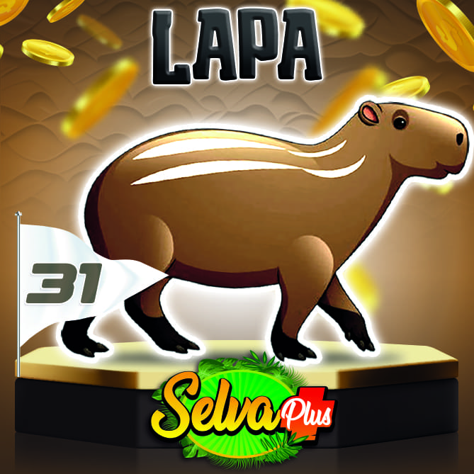 ***SELVA PLUS*** tweet media