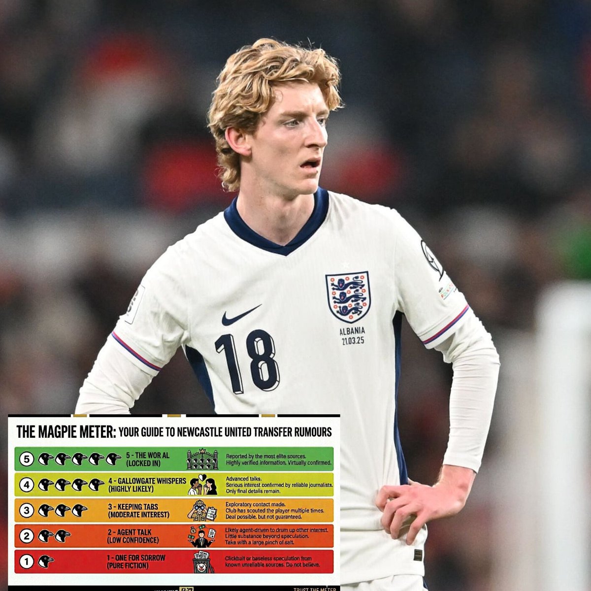 Magpie24_7's tweet image. Manchester United are reportedly preparing to bid as much as €100m for the potential transfer of Newcastle United winger Anthony Gordon, according to Fichajes 🤔

MAGPIE METER RATING: 🐦‍⬛🐦‍⬛

shorturl.at/YnDu5

#NUFC #NUFCNews #Newcastle #EPL