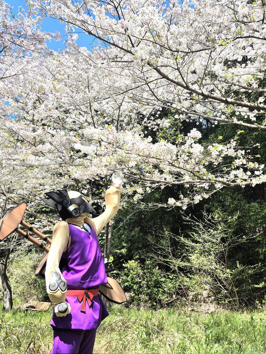 おびめ tweet media