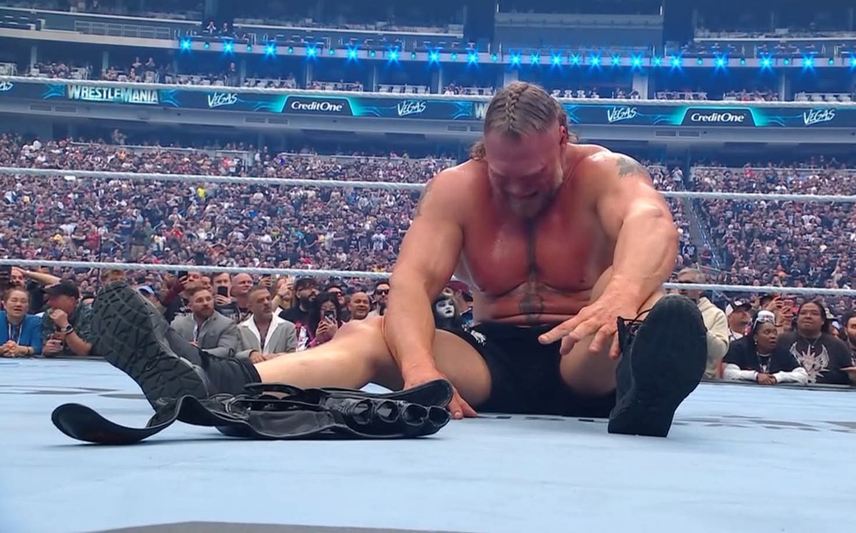 Nunca entenderé porque Brock Lesnar es tan odiado en la comunidad.
Estoy de acuerdo en que fuera de cámaras ha cometido muchas cagadas pero como bacinica fue buenísimo.
Tenía porte, micro y una panzota. Se defendía en el ring y se orinaba en todos.

#WrestleMania