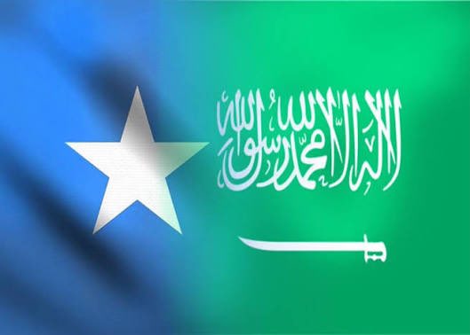Saudi Arabia: Any country that recognizes the separatist entity in northern Somalia will place itself in the same camp as Israel against the Arab and Islamic world.

After this statement, I wouldn’t be surprised if the separatists boycott Mecca and Medina. 😁🤣

🇸🇴| Qoladay in ee