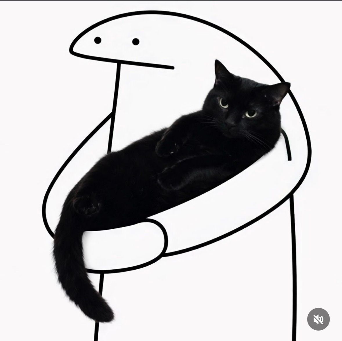 Black cats are not bad luck tweet media