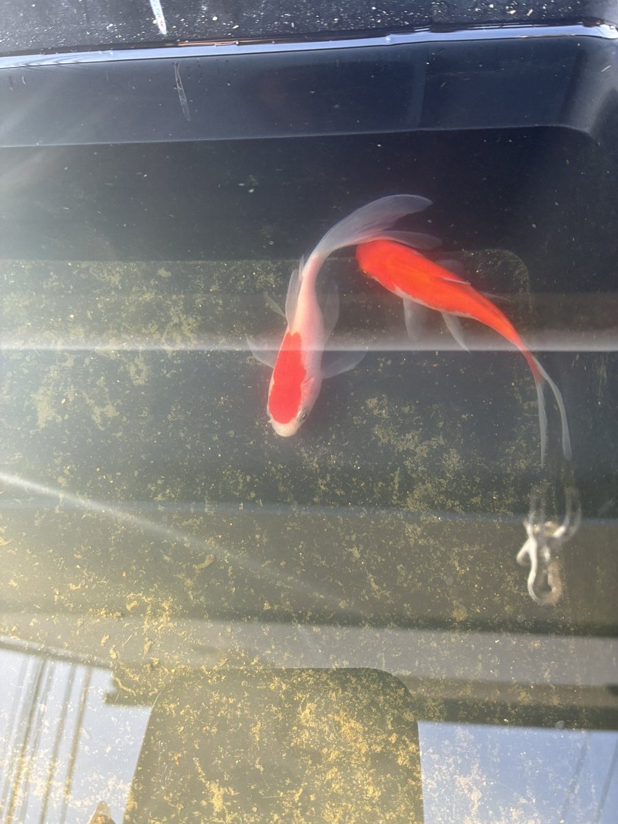 なって子 tweet media