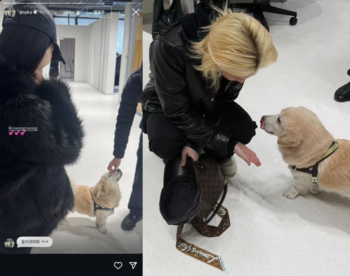 𝕳𝖞𝖚𝖓𝖊 🥟𝖆𝖉𝖎𝖈𝖈𝖎𝖔𝖓 tweet media