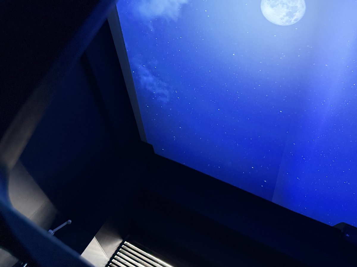 しんえん（熱波僧🔥真炎🔥）@変態サウナー倶楽部S.W.A.T.®︎ tweet media