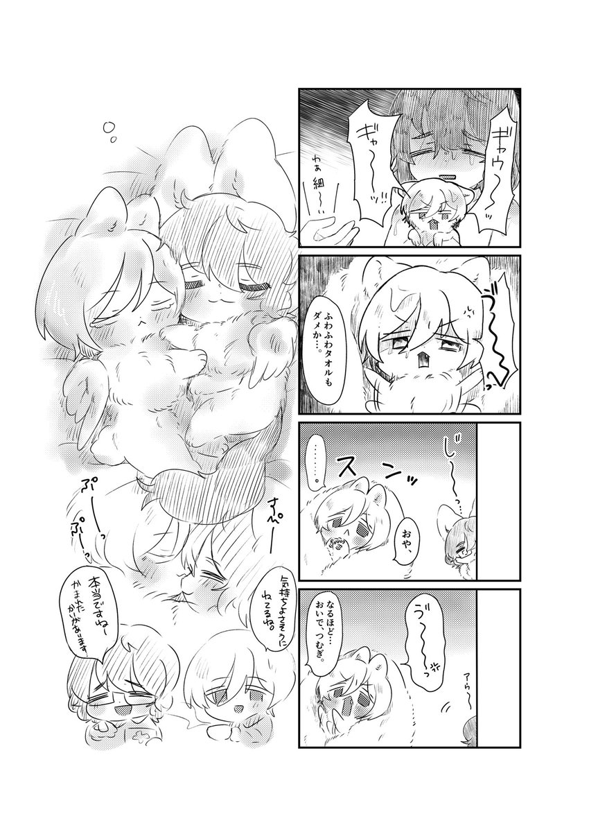 デスカワウソ tweet media