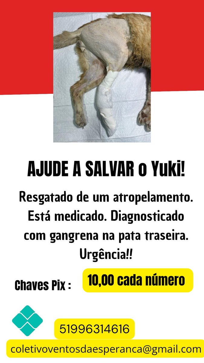 ana tweet media