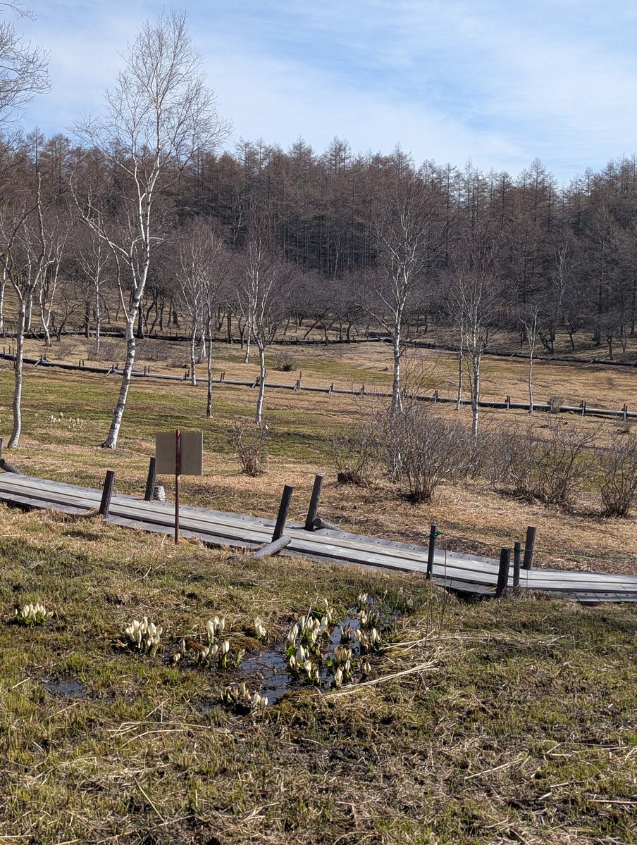 patagon_climber 時々すずかぜ tweet media