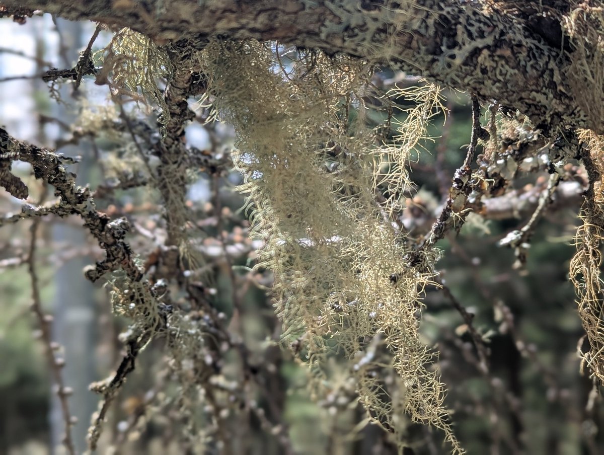 patagon_climber 時々すずかぜ tweet media