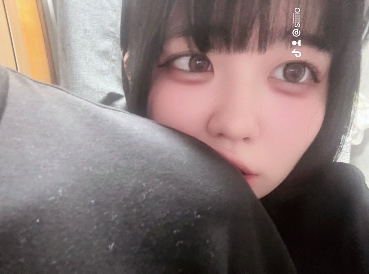 しのねこ tweet media