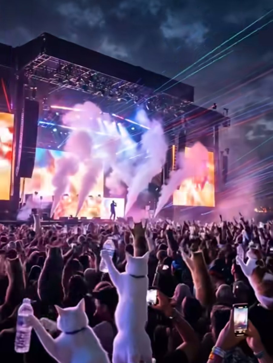 rosienyc123's tweet image. Haha Catchella 🐱🐯🐱
#Coachella music 🎵 festival 😄
instagram.com/reel/DXO9GsThM…