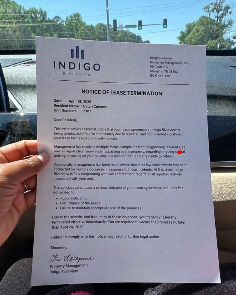 Mesh🇧🇧 tweet media