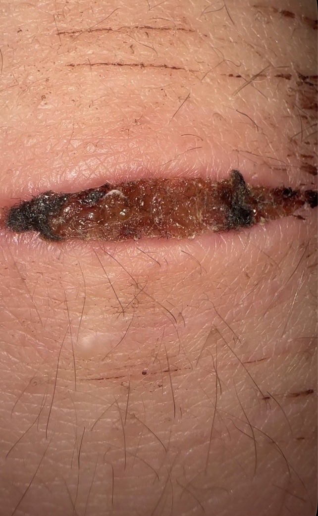 ˚⟡˖ ࣪Rainbow Dash of shedtwt ˚⟡˖ ࣪ tweet media