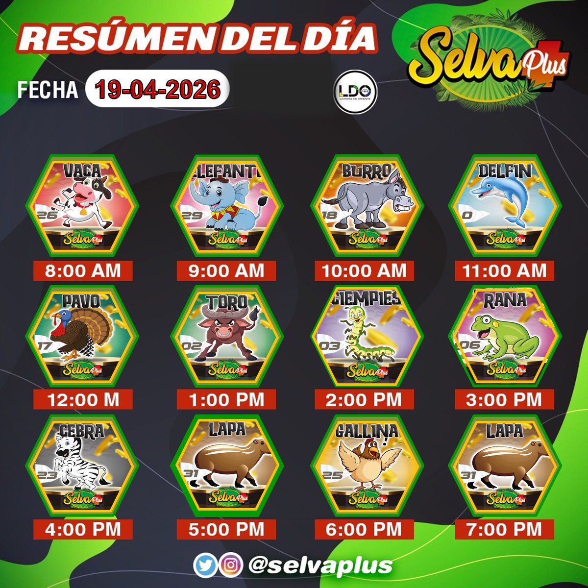 ***SELVA PLUS*** tweet media