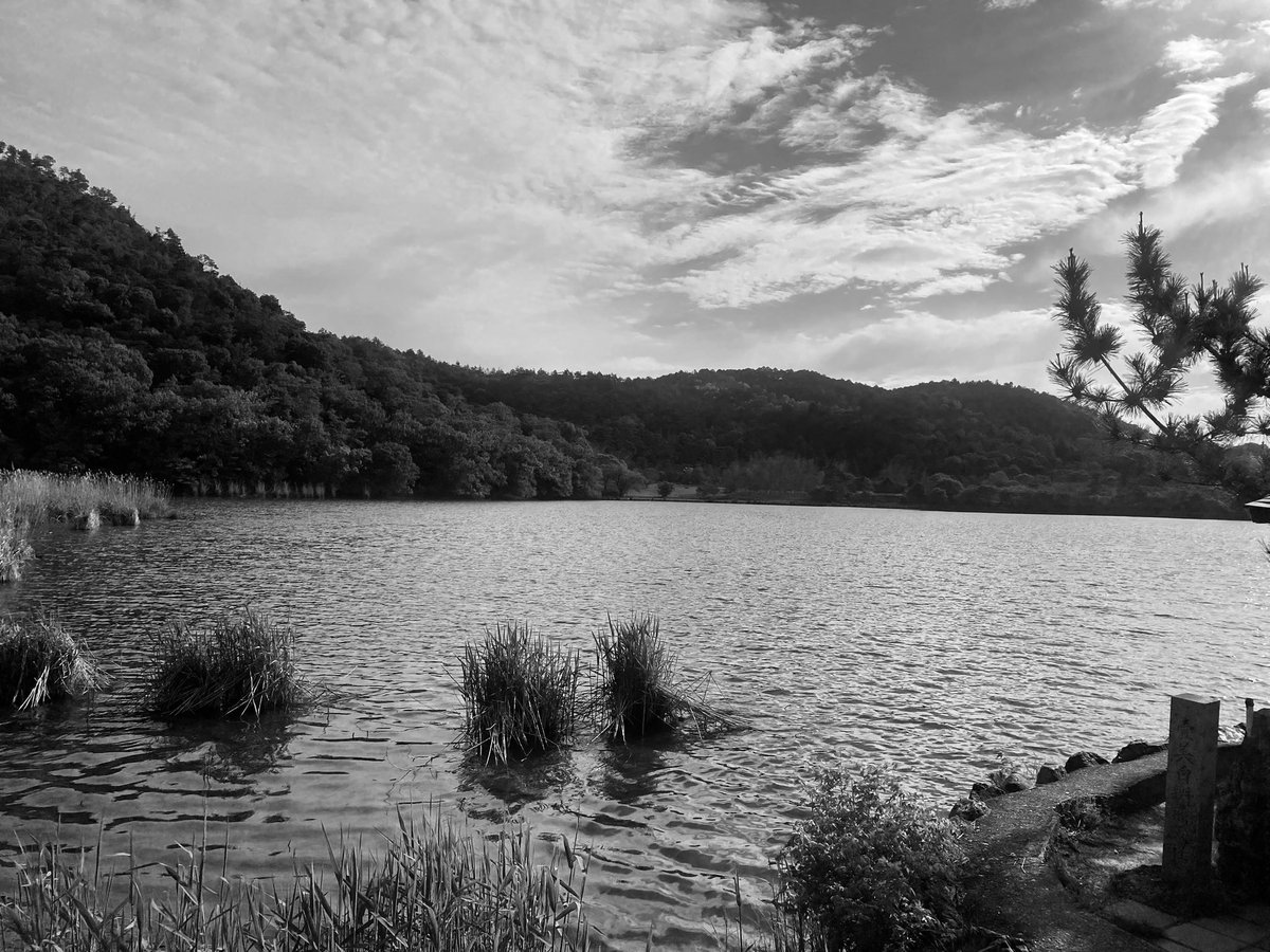 醍醐マサヒロ tweet media