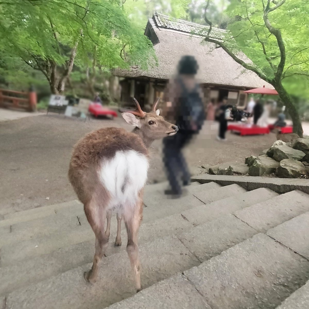 tencoro51 tweet media