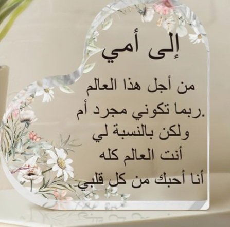 إيفا🪻 tweet media