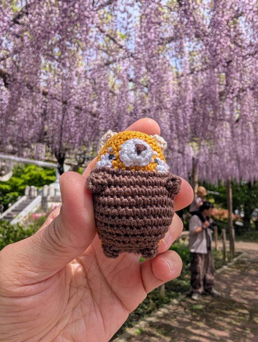 ChikaBoo! tweet media