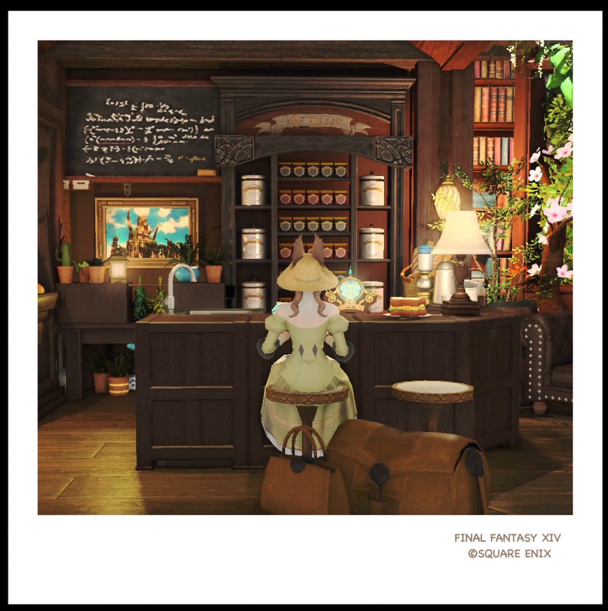 🐰ﾓｲﾓ-ｲ🌿.∘

今日も素敵な一日になりますように🌼*･

#studio_sheryyy
#FF14 #FFXIV