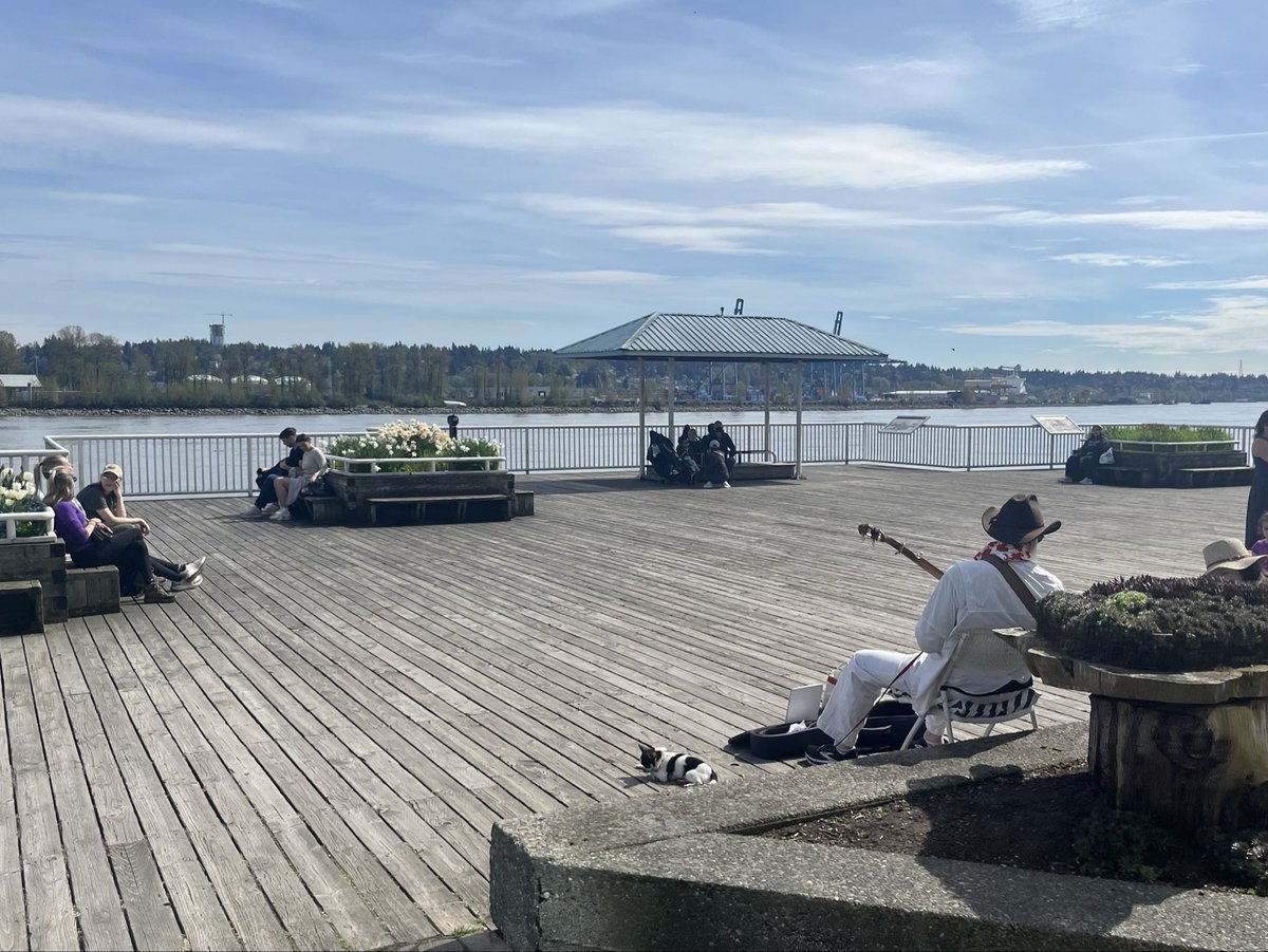 Harvey🇨🇦🇦🇺🇺🇸 tweet media