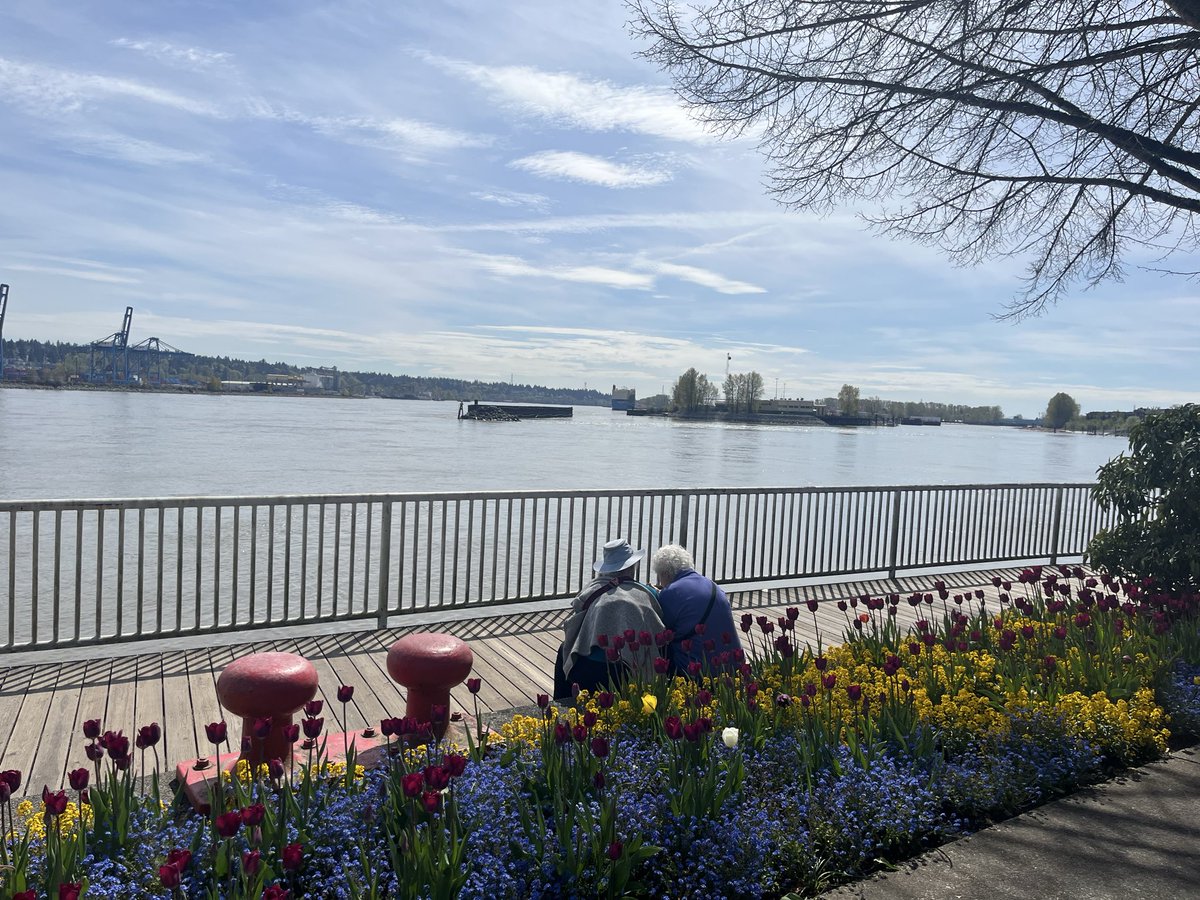 Harvey🇨🇦🇦🇺🇺🇸 tweet media