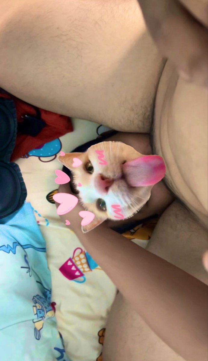 พี่หมี_URT tweet media